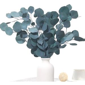 Preserved Dried Eucalyptus Stems, Blue Real Greenery Branches, 4-10 PCS Silver Dollar Leaves for Vase Filler, 14-17'' Fresh Eucalyptus Garland Plant for Wreath Wedding Home Farmhouse Party Decor