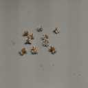 Mini Pearl Hair Barrettes for Women Girls, 10pcs Sweet Artificial Pearl Hair Clips, Flower Pins Clips for Party Wedding Daily