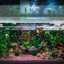 Sieral Aquarium Polycarbonate Canopy Set 23.07 x 11.69 x 0.12 Inch for 15/20H/55 Gallon Without Center Brace Aquariums Cover Fish Tank Lid with a Hook Knife, Clear