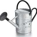 Garutom Galvanized Watering Can for Outdoor Indoor Plants, 1 Gallon Decorative Countryside Style Water Can with Removable Spout, Perfect Metal Watering Can for Indoor Plants and Garden Flower (Silver)