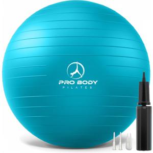 ProBody Pilates Yoga Ball - Exercise Balls, Various Sizes, for Stability, Pregnancy, Workout & Physical Therapy (L: 23-26" (65 cm), Sky)