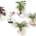 Kingbuy Hexagon Wall Planter Set - 3 Pack Glass Propagation Terrarium Vases with Hanging Mounts for Indoor Plants, Air Plants & Hydroponic Stations Home Office Decor, Plant Lover Gifts (Medium)