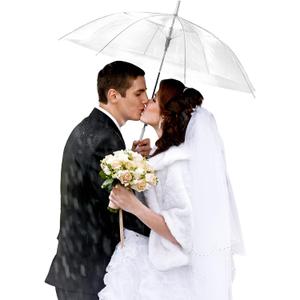 Reginary 10 Pack Clear Wedding Umbrellas Auto Open Windproof Transparent Large Clear Bubble Stick Umbrella Bulk with J Hook Handle for Outdoor Bride Groom Ceremony Adults Kids Rain