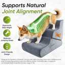 Dog Stairs for Bed & Couch – BuddyRamp 2-in-1 Foldable Dog Stairs and Ramp, 3-Step Pet Stairs Converts to Gentle Ramp, Non-Slip Soft Foam Steps for Small Dogs & Senior Pets