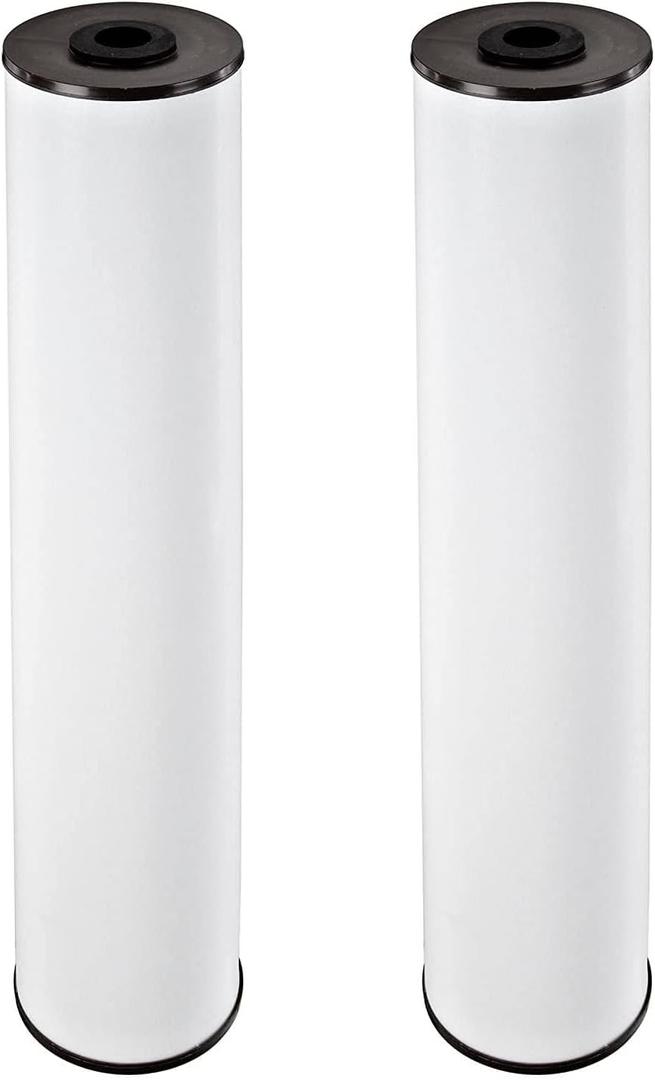 Pentair Pentek RFFE20-BB Big Blue Water Filter, 20-Inch, Whole House Radial Flow Iron Reduction Replacement Cartridge, 20" x 4.5", Pack of 2