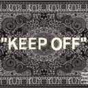 KEEP OFF Rug - Cashew Flower Classic Paisley Cashmere Area Rug - Hypebeast Home Decor Carpet - 5.3 * 7.5ft (160 * 230cm) Living Room/Dining Room/Bedroom - Artistic Premium Floor Mat
