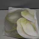 8PCS 22.8inch Anthurium Artificial Flowers White Faux Silk Anthurium Real Touch Flower Faux Floral Arrangement for Vase Table Centerpieces Wedding Garden Home Decoration (White)