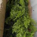 9FT Christmas Cedar Garland Artificial Realistic Green Faux Real Touch Winter Pine Garland for Mantle Fireplace Wall Table Indoor Outdoor Decoraiton