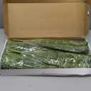 FOREST PRINCE 35" Fake Ferns, 4 Large Artificial Bonston Ferns Bushes Plants with 39 Fronds for Outdoors Garden Patio Porch Entrance Low Maintain Home Decor