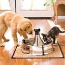 PetSafe Drinkwell Stainless Steel 360 Multiple Pet Fountain - Scratch and Rust Resistant Automatic Water Dispenser for Cats or Dogs - Adjustable Flow Control - 128 Ounce (3.8 Liter) - Filters Included