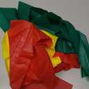 TheraBand Resistance Bands Set, Professional Non-Latex Elastic Band For Upper & Lower Body Exercise, Strength Training without Weights, Physical Therapy, Pilates, Rehab, Yellow & Red & Green, Beginner