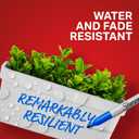 Sharpie Permanent Markers, Fine Tip, 12 Count - Quick Drying, Fade Resistant, Arts & Crafts, Desk, Office Supplies