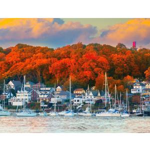 Springbok's Harbor in The Fall 500 Piece Puzzle for Adults Shows The Beauty of This Northeastern Habor in Fall Colors