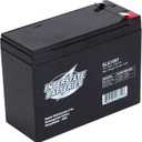 Interstate Batteries 12V 10Ah Battery (F2 Terminal) SLA AGM VRLA Rechargeable Replacement for General Purpose, Universal Power, Home & Office Devices (SLA1097)