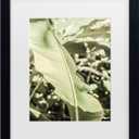 Trademark Fine Art Framed Wall Art - Shot by Clint 'Lime Lightning' Wall Decor with Matted Frame