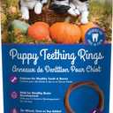 2 x N-Bone Puppy Teething Ring Pumpkin Flavor 7.2 OZ/(6 Pack) (EXP 11/04/27)