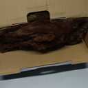 Heated Blanket Throw 50" x 60" Soft Ribbed Faux Fur Flannel Fast Heating 12 Heat Levels 112H Timer & Overheat Protection & Auto Shut-Off & ETL FCC & Machine Washable Heated Throw (Camel)