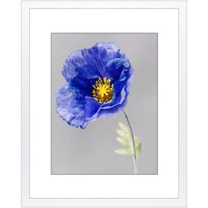 VNVNK 14x20 Frame White, Perfect for 14x20 Inch Picture without Mat or 12x16 Inch Picture with Mat, Home Wall Decor Picture Frame-1 PCS