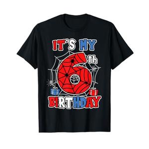 It's My 6th Birthday Spider Theme Party 6 Year Old Boys Kids T-Shirt (Youth S)