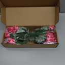 ATTGREAT Artificial Geraniums for Outdoors Faux Plants UV Resistant Flowers Outside Fake Silk Flowers Bulk Realistic Plastic Greenery for Home Porch Planter Patio Decor, 6 Bundles (Rose Red)