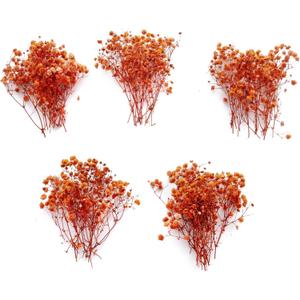 50 pcs Mini Dried Orange Baby Breath Flower Dried Flower for Crafts Press Flowers Wedding Wreath Decoration Gift Card Decor Floral