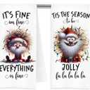 Funny Christmas Santa Kitchen Towels, Santa Claus Decor, Humor Xmas Lights Holiday Decorative Dish Tea Hand Towels for Kitchen Bathroom, 16x24 Inch Set of 2 (Gnome)
