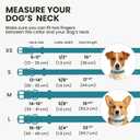 BRONZEDOG Rolled Leather Dog Collar for Small Medium Large Dogs with QR ID Tag (M: 14-16 Inch, Teal)