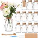 12 Pack Glass Flower Vases with Rope,Brajttt Vintage Bud Vases in Bulk,Mason Jars for Centerpieces,Flower Vase for Centerpieces and Tag for Weddings,Home Decor & DIY Projects