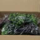 Artificial Bonsai Pine Tree Fake Desk Plants Commercial Reception Charm Adornment Home Decor Office Bookshelf Decor (Green)