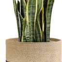 Dahey Jute Rope Plant Basket Modern Woven Storage Basket for 12" Indoor Planter, Decorative Flower Pots Cover Laundry Bin with Handle Rustic Home Decor, Black