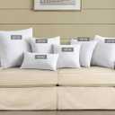 puredown Feather Down Throw Pillow Inserts 22 x 22 (Pack of 2, White), Big Throw Pillows for Floor, Couch, Bed, Machine Washable
