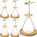 4 Pcs Small Avocado Seed Starter Glass with Bamboo Base, Planter Growing Glass Small Planter Pot Starter Vases for Avocado Acorn Garlic Vines Root Seeds