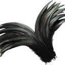 Holmgren Black Rooster Tail Feathers - 60pcs 12-14inch Natural Long Rooster Tail Feathers Bulk for DIY Crafts Costume and Halloween Party Performances Decoration (Black)