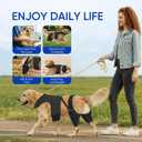 Dog Knee Brace for Torn ACL Hind Legs with Vest, Adjustable Dog Leg Brace with 4 Stabilizers, Hip Support to Reduce Pain, CCL Tear Recovery & Arthritis Ligament Injuries & Luxating Patella (X-Small)