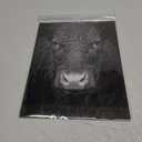 Black&White Photo Collage Collection Includes (5) 11x14 Prints