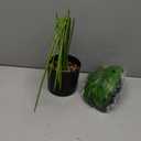 10pcs Green Plant Support Stakes with 15pcs Clips, Bendable Stakes for Tall Plants, Indoor & Outdoor Use (25PCS)