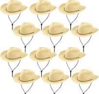 Hicarer 12 Pieces Disposable Plastic Cowboy Hat Set