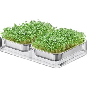 FANHAO Upgraded Visual Seed Sprouter Tray, Stainless Steel Soil-Free Cultivation Germination Tray with Acrylic Base, Healthy Microgreens Growing Kit for Indoors Sprouting Seeds, Grow Grass, Beans