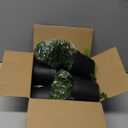 Der Rose 4Pcs Fake Plants Hanging Artificial Ivy Vine Faux Eucalyptus Hanging Plants, Boston Fern, String of Pearls for Living Room Bedroom Boho Wall Shelf Indoor Outdoor Decor (Black Pots-4pcs Green)