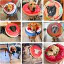 BEAUTYZOO Dog Cone Alternative After Surgery for Large Medium Small Dogs, Soft Inflatable Cone Collar for Dogs Cats, Pet Neck Donut E Collar Dog Recovery Collars to Stop Licking, Shark Blue, L