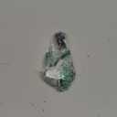 Door Stopper Checker Strap Hinge Door Check Stopper Hinge