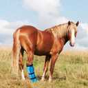 4 Pcs Easy Use Hoof Soaking Boot for Horse Soaker Bag, Hoof Care Treatment Bucket with EVA Pad and Elastic Band, 2 Pairs Horse Soaker Bag for Common Equine Hooves Ailment Problem