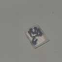 8PCS Premium Stainless Steel License Plate Screws, Rust-Proof & Anti-Rattle License Plate Bolts(Black) (Black-8PCS)