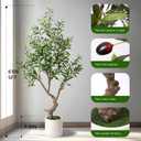 Faux Olive Tree 5ft with White Pot - Artificial Olive Tree with Lifelike Leaves & Fruits, Fake Plant Indoor for Home Decor, Living Room, Office - Silk Leaves, Sturdy Trunk, No Maintenance