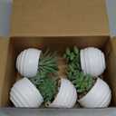 Der Rose Set of 5 Succulents Plants Artificial in Pots Small Fake Plants for Bedroom Aesthetic Living Room Shelf Bathroom Decor Office Desk Accessories