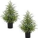 ENVEN 2FT Artificial Norfolk Pine Christmas Tree  Tabletop Faux Tree Unlit/Prelit with 50 LED Lights & 8-Function Battery Box, Pre-Assembled Holiday Decor for Home or Office (Prelit-2FT-2Pack)