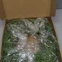22Inch Christmas Wreath for Front Door, Real Touch Cedar Wreath, Unlit Plain Artificial Cypress Wreath for Xmas