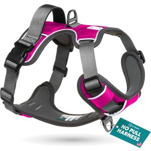 Embark Adventure Dog Harness, Reflective Trim No Pull Dog Harness Medium Sized Dogs - Military Grade Nylon, Front Clip with Gel Lined Handle.