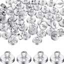 WILLBOND 80 Pieces Plant Anchors for Trellis Plant Vine Wall Fixture Clips Hooks Anchor Vine and Wall Climbing Supplies (Silver)