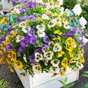 Artificial Flowers for Outdoors Fake Plants Spring Decor, 14 pcs Realistic Fake Pansies Silk Flowers UV Resistant, Lifelike Faux Outdoor Flowers for Porch Garden Patio Window Box Decor